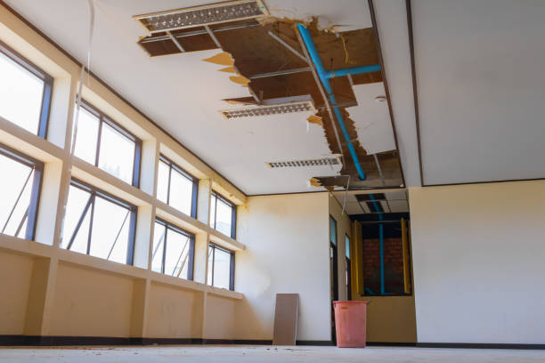 Best Sewage cleanup and water damage restoration  in West Wareham, MA