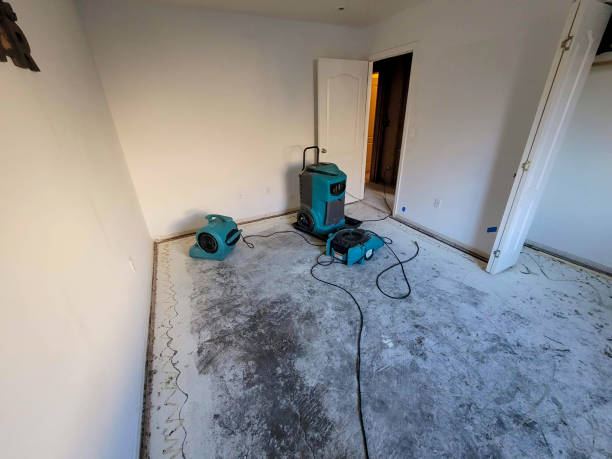 Best Fire Damage Restoration  in West Wareham, MA
