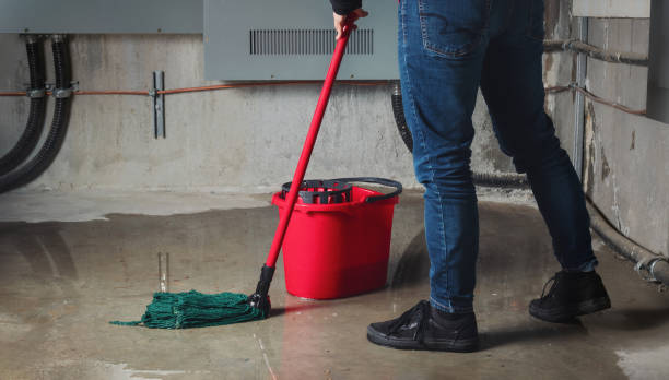 Best Basement water damage restoration  in West Wareham, MA