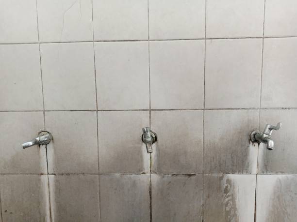 Best Sewage cleanup and water damage restoration  in West Wareham, MA