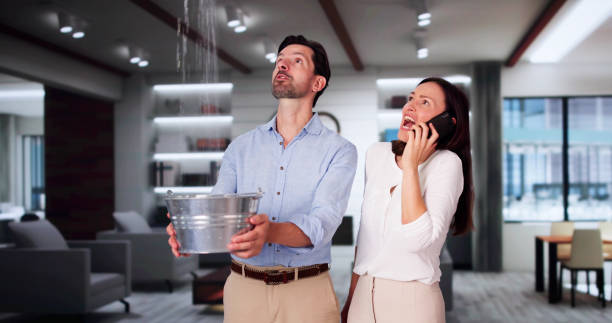 Best Local water damage restoration  in West Wareham, MA